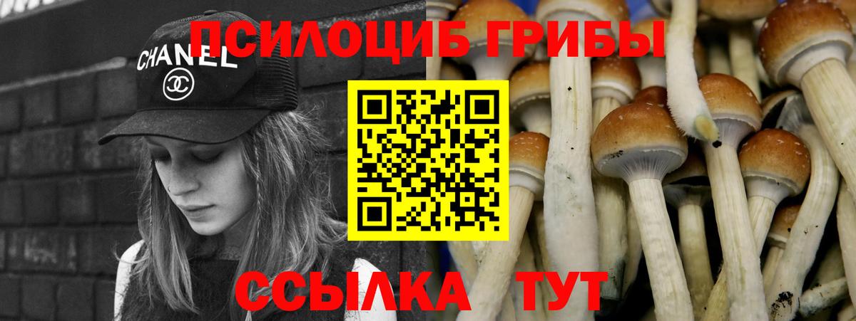 купить наркоту  Вход с VPN  Дербент  Псилоцибиновые грибы мухоморы 